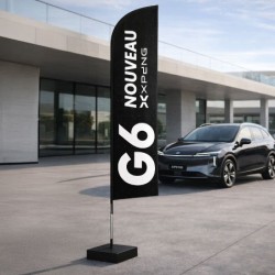 Winflag Nouveau G6
