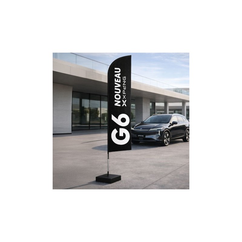 Winflag Nouveau G6