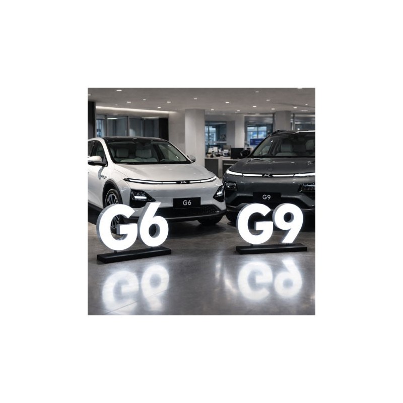PACK ENSEIGNES LUMINEUSE G6 et G9